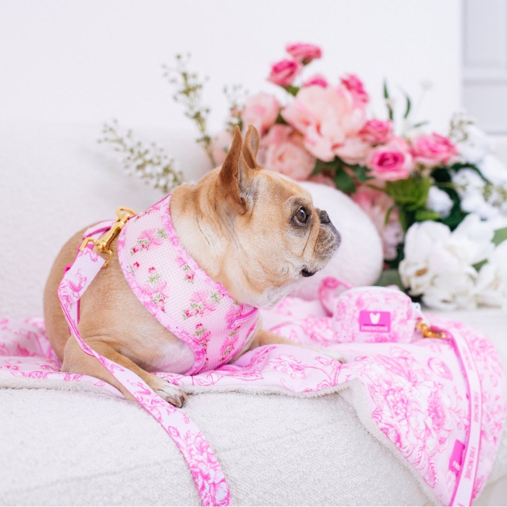 Frenchie Brand Toile Pink Floral Duo Reversible Breathable Harness S - Picture 2 of 6